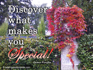 discover what makes you special